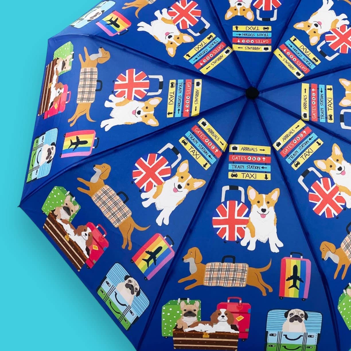 Umbrellas