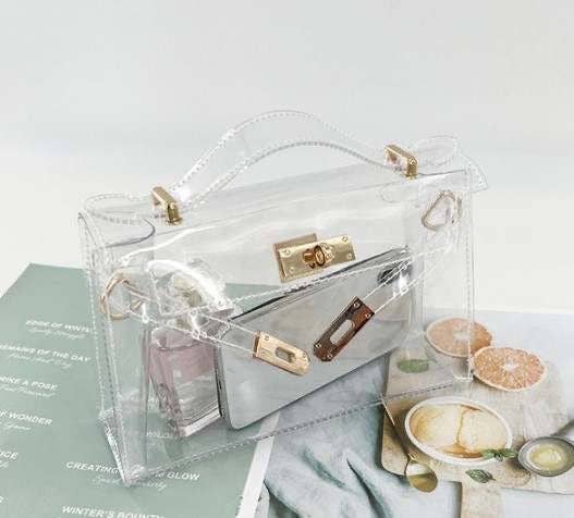 The Mini Andrea Clear Top Handle Bag