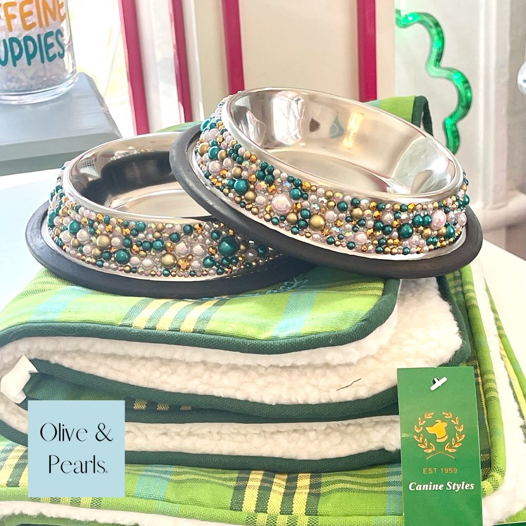 Embellished Pet Bowls in Siren