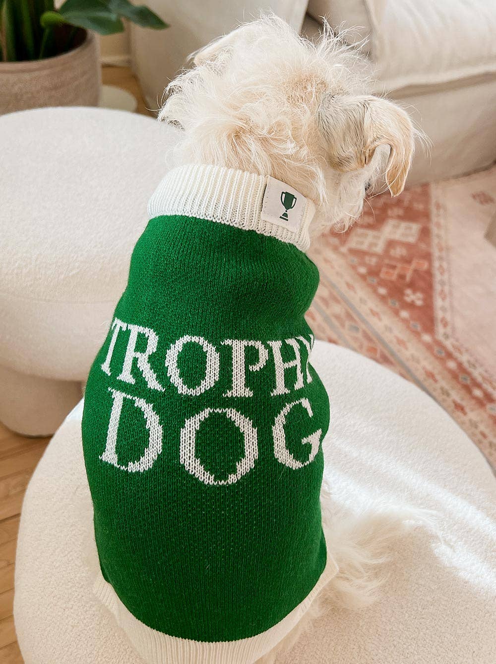 Trophy Dog Sweater