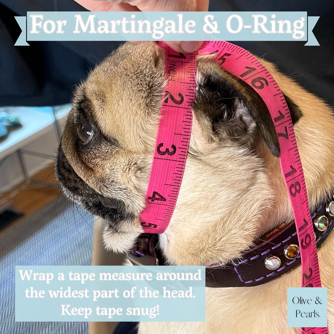 The Martha Pearl Bead Dog Collar