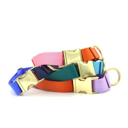 Side-release martingale collar / brass snap