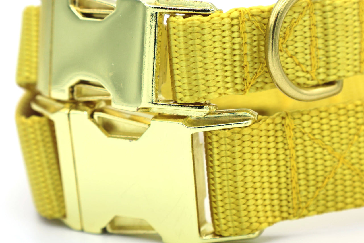 Brass Snap Collar