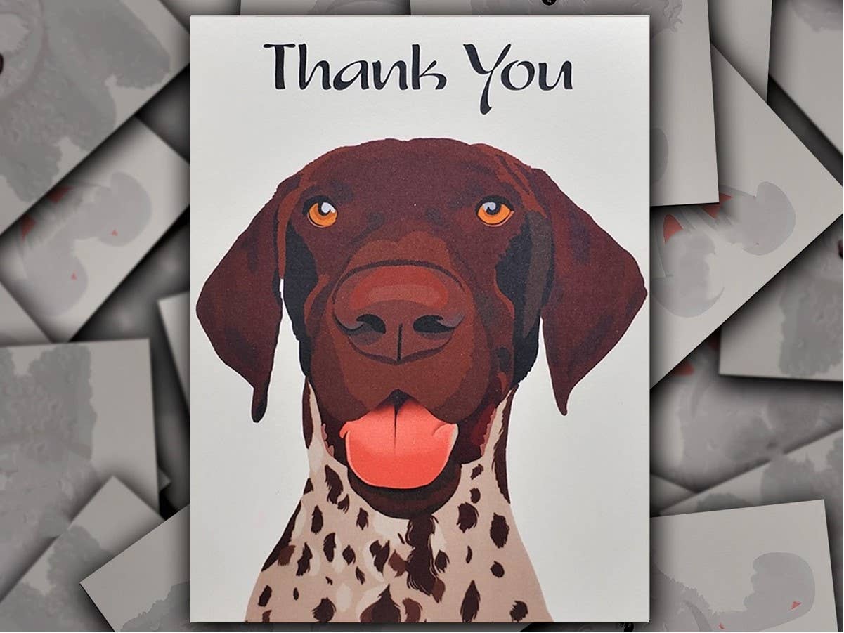 Brown GSP German Shorthaired Pointer Thank You Card