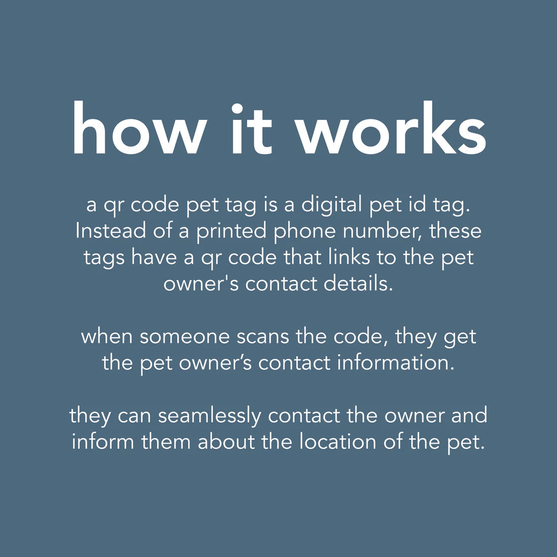 Besties Salt & Sun Custom QR Code Pet Identification Tag