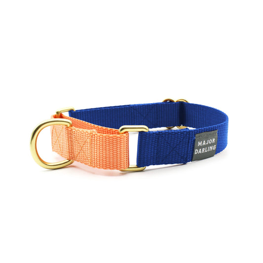 Cobalt with Peach Martingale Collar