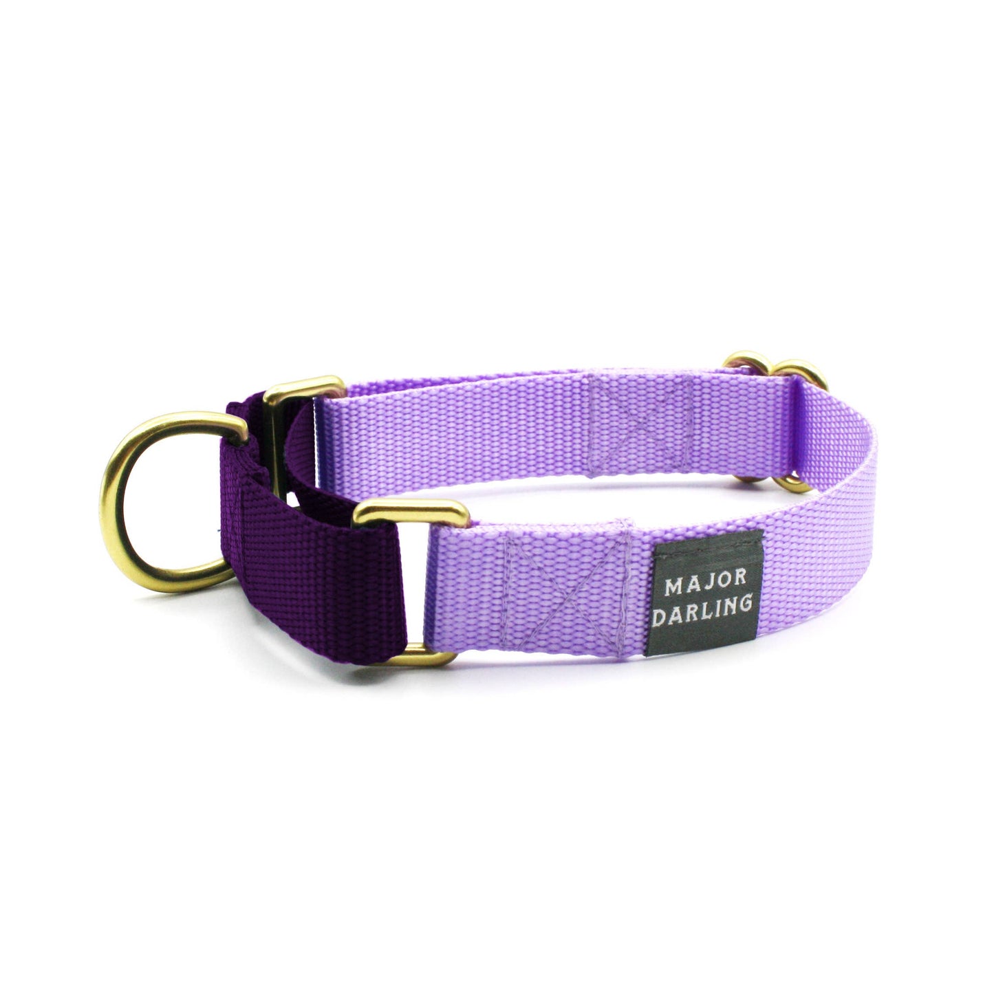 Lilac with Violet Martingale Collar