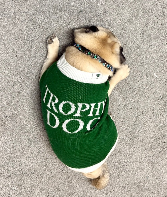 Trophy Dog Sweater