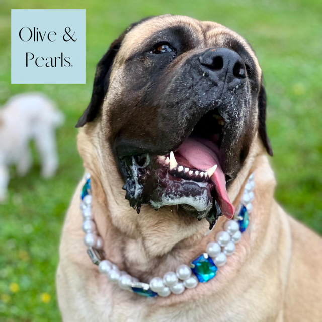 The "Claudia" Pearl and Crystal Dog Collar