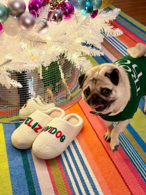 Feliz Navi Dogs Slippers