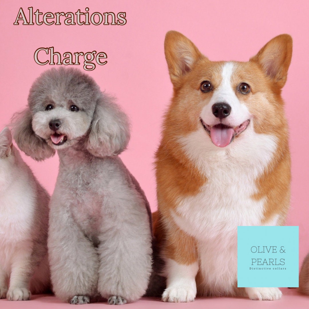 Alterations Charge